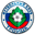 Home team logo