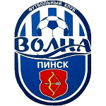 Волна Пинск logo