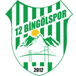 12 Bingölspor logo