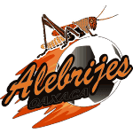 Alebrijes Де Оахака