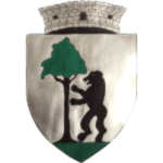 АС ФК Тимишул Урсени logo