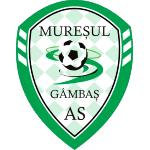 away team logo
