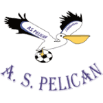 Как Пеликан logo