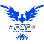 АФК Штиинца Финта logo