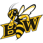 home team logo