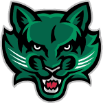 Бингамтон Биркятз logo