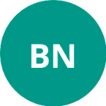 Бржечкова Н. logo