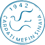 Карпаци МЕФИН Синая logo
