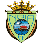 ФК Нойя logo