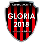 CS Gloria 2018 Bistriţa-Năsăud logo
