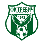 ФК Требич Сокобаня