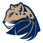 Levhartice Chomutov logo