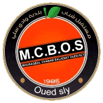 МКБ Оуед Сли logo