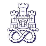 Ньюкасл Таун logo