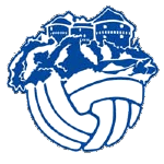 НК Десинич logo