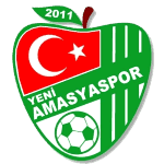 ФК Амасьяспор logo