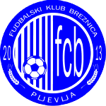 Брезница logo