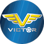 Динамо-Виктор logo